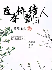 蓝桥春雪待归人