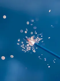 江春历经短篇合集