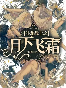 斗龙战士之月下飞霜