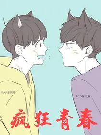 同人：疯狂青春