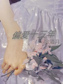 偏爱十三年