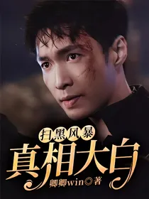 扫黑风暴：真相大白