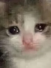 传说之下：毕竟我只是只小猫咪啊