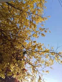 四年思念