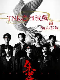 TNT之湘城戏