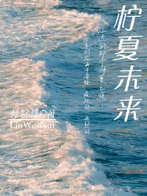 TF三代：柠夏未来