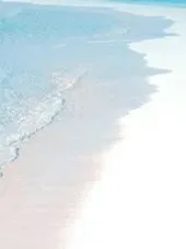 全明星：甜酷小公主