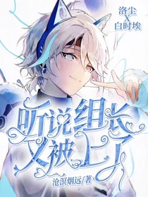听说组长又被s了