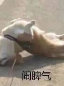 如此青涩的我们