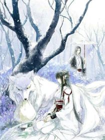 相思情痴叹红颜