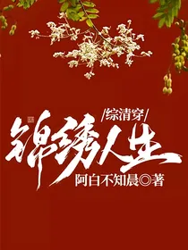 综清穿：锦绣人生