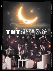 TNT：超强系统
