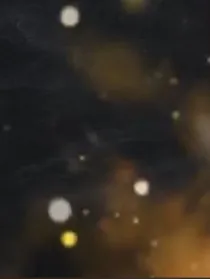 招录
