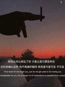 查理九世：怅惘烟雁