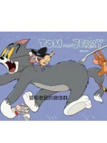 猫和老鼠的微信群