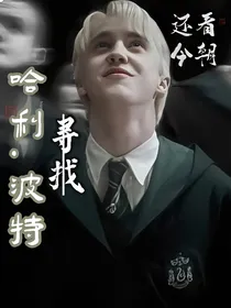 哈利波特之寻找