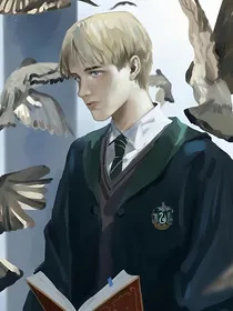 德拉科：你只能属于我的麻瓜