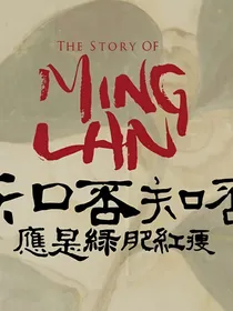 知否：妻本惊华