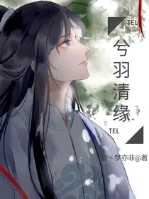 兮羽清缘