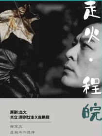 走火之程皖