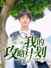 TF三代：我的攻略计划