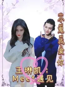 王琳凯：Meet遇见