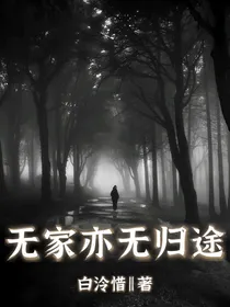 无家亦无归途