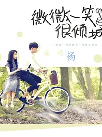微微一笑很倾城（续写2）