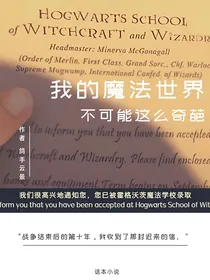 我的魔法世界不可能这么奇葩