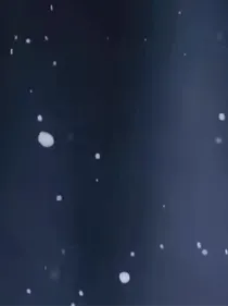 契约协议