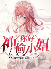 你好，神偷小姐