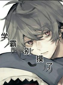 学霸别摸了