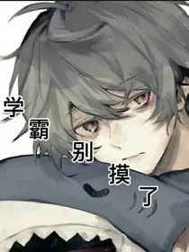 学霸别摸了
