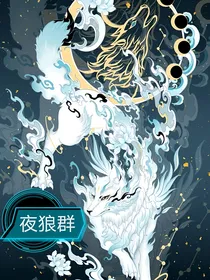 夜狼群故事集