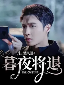 扫黑风暴：暮夜将退