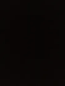 网球王子之重生之道