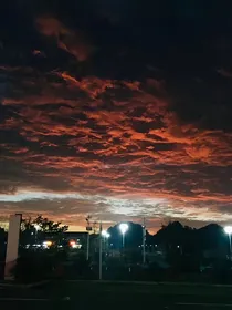 暮下泠鸢
