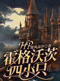 HP霍格沃茨四小只