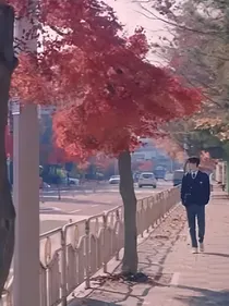 邻家教官在我家