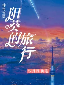 神奇宝贝：阳葵的旅行