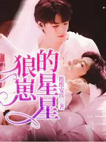 狼崽的星星