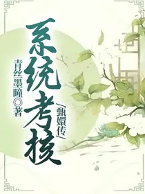 甄嬛传：系统考核
