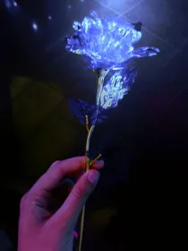 微光——过去？未来？