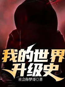 我的世界升级史