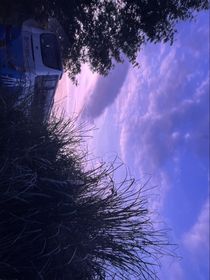 今年不要再喜欢你了-d328