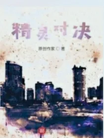 精灵对决