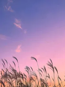 黄子韬：独宠甜心小妖精