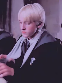 HP：满天星与荆棘-d533