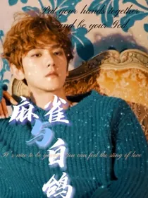 麻雀与白鸽