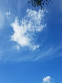 穿越赛尔号之蓝聿